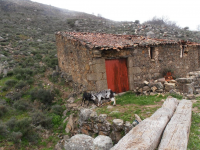 6bb91c9cf484e6501d60a2e97e101e3b