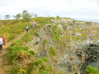 6cf5e7f95d47ce29df5340531f526878