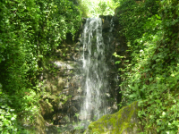 6d31866a7a1cfece332fd40883886c5a