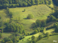 6d422e261dfa35a124417220ef3355c9