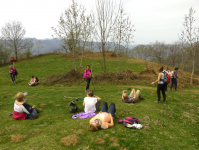 6d826428524f26d1d91637f5f6cf8279