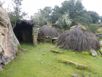 6e1f7269d2d63d0dce3b5e30051cb2c3