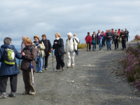 6f60f10e8c3cf9f0cb591cb71e1479ca