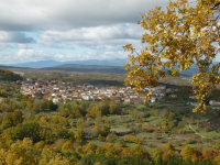 6feca039d399cdfa77e68b253b692ee6