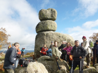 71ea5388077512166b6665ee2a58f500