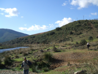 72c090fde921a0fe2f0e3e96b4685259