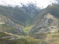 72db51a083a5459bf7b67b30dfe420d6