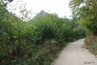 739a2d1e9b147bcdf41509704f39902e