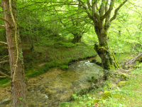 74bc73ee44d521c048b7ad52fbf92ab5