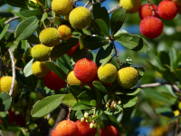 76affbcafe0e0c23c4b8cddea5263ddb