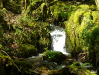 76faede221db93b8331fd57b589104e8