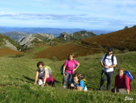 77ce73787875900a87547d322c5148f1