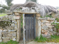 7846a2e96daffa1e731385f63282cf95