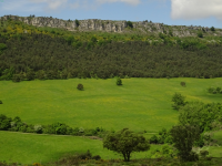 78a93483d85a67f61535f8067a0b9688