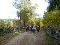 793388fe9b70dd16251c1936f1c741eb