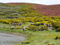 7b64870d8c9257e54c89d3a3ab36399b