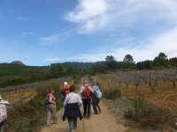 7c911c6fcfe5c790d6d8d06e5b8479d5