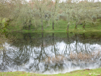 7cf3947f689cc34f2660b82c3af2c90c