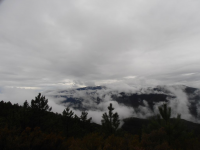 7d2e41ff87c4acf9ea281d214e765b86