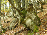 7d7df532f2d0d4354f11f453a7b6f04c