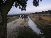 7da36a047dac136305597eabdd914aee