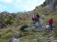 7daefe00d9c3bb794e6f7c257597a9c9