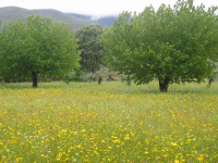 7e541ad3a923c24a830cd2db8698117c