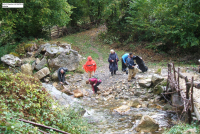 7e6fa1568335ada854b25502231f20a4