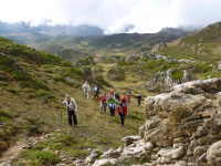 7f1f0b4a3c37ed9ec68c832a063bb928