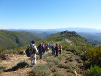 7f742a424328598ddbcbf16829ce7f04