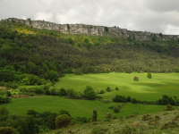 80191e10b15fd4c525edab7c270076ce