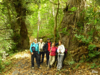 814ac96e37be0eed7d0895c6545da390