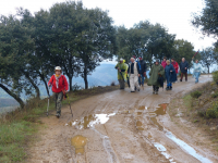 81a2ed005626f216ee2bb5fc7b2d5618