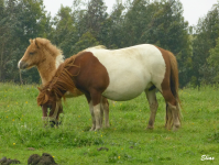 81d91b592a9e1b5d22186a602d060228