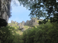 828e57d87490f51d882d6bcc761b99a7