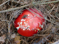 8343dbff5faeafc707f9c107e7aa3009