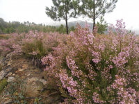 84d1c780a85509e5f388a18c0c6ecebc