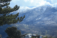 850554636408abe6f9a5d53b8b48c504