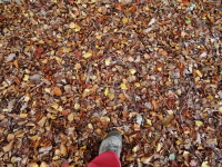 862ad1fc98422983888aca3ba46a6713