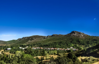 872ed912818216b7bf76cac16155f9f5