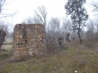 8738efd0eae0f38f4caaf6e572048714