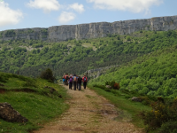 87d923550d9bfa02be66d69c8f95d2d0