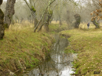 881b5bb386a620a1ad0d6cdadd13dda0