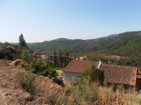 8951a892bdd07021cccb58f65b99dc03