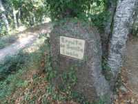 8a247d3b824bc4d56b35f955e31d0c91