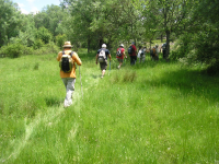 8a4ddf379faa96d7bbe2f82c87949861