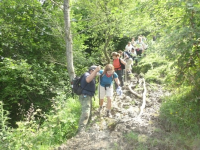 8a749887a5e71d23a69dae99d9fd9b58