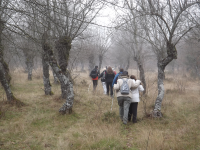 8b0169013e70d3598242b224fe87258b