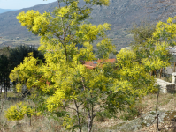 8bb6da96389adc8048b956cd6eee7f68