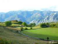 8c2fc5b3ca751ce51295f7cb4119d762